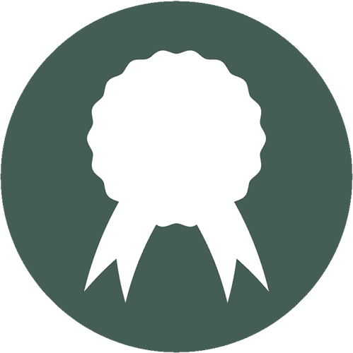 Certificate Icon